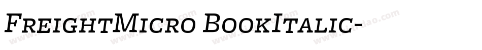 FreightMicro BookItalic字体转换